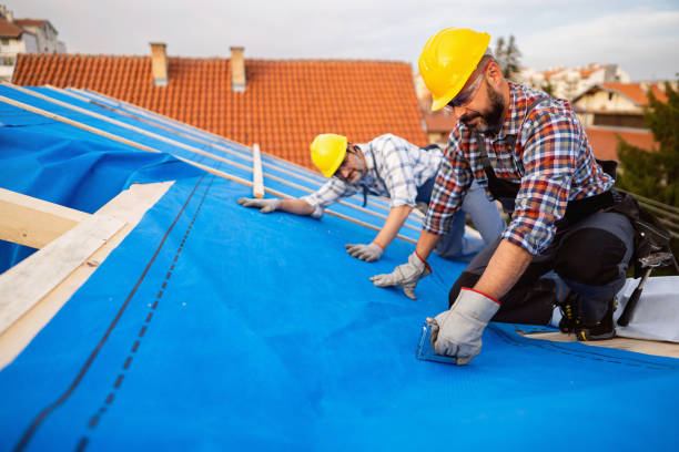 Best Best Roofing Contractors  in Round Lake, IL