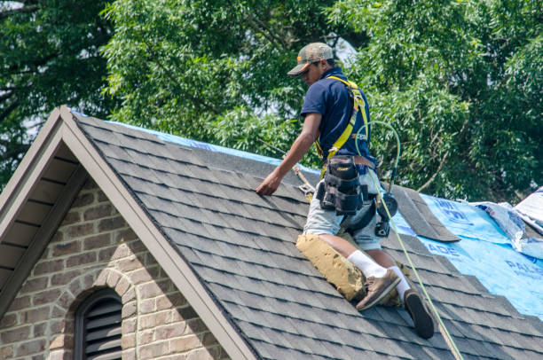 Best Metal Roofing Contractor  in Round Lake, IL